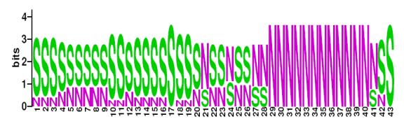 This is a Sequence Logo of EAI1 spoligotypes.
S indicates present spacer, N indicates absent spacer. For more information on sequence logos, 
please click the link at the bottom of this page.