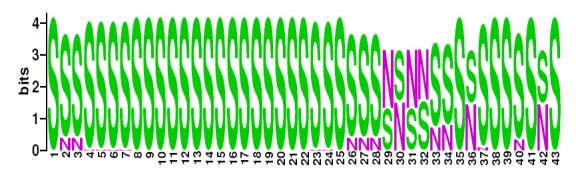 This is a Sequence Logo of Family 33 spoligotypes.
S indicates present spacer, N indicates absent spacer. For more information on sequence logos, 
please click the link at the bottom of this page.