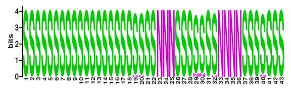 This is a Sequence Logo of LAM10 spoligotypes.
S indicates present spacer, N indicates absent spacer. For more information on sequence logos, 
please click the link at the bottom of this page.