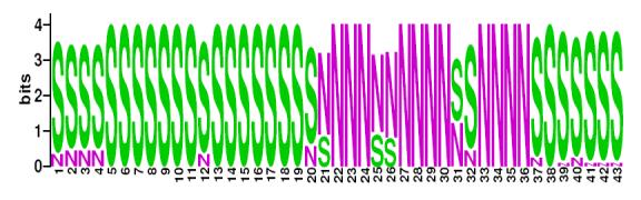 This is a Sequence Logo of LAM8 spoligotypes.
S indicates present spacer, N indicates absent spacer. For more information on sequence logos, 
please click the link at the bottom of this page.