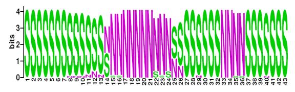 This is a Sequence Logo of Family N16 spoligotypes.
S indicates present spacer, N indicates absent spacer. For more information on sequence logos, 
please click the link at the bottom of this page.