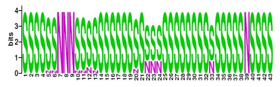 This is a Sequence Logo of Family N18 spoligotypes.
S indicates present spacer, N indicates absent spacer. For more information on sequence logos, 
please click the link at the bottom of this page.