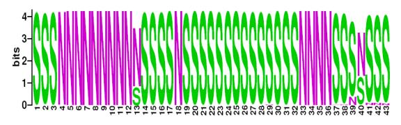 This is a Sequence Logo of Family N20 spoligotypes.
S indicates present spacer, N indicates absent spacer. For more information on sequence logos, 
please click the link at the bottom of this page.