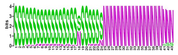 This is a Sequence Logo of Family N22 spoligotypes.
S indicates present spacer, N indicates absent spacer. For more information on sequence logos, 
please click the link at the bottom of this page.