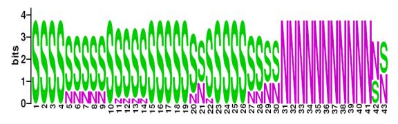 This is a Sequence Logo of Family N23 spoligotypes.
S indicates present spacer, N indicates absent spacer. For more information on sequence logos, 
please click the link at the bottom of this page.