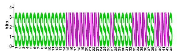 This is a Sequence Logo of Family N36 spoligotypes.
S indicates present spacer, N indicates absent spacer. For more information on sequence logos, 
please click the link at the bottom of this page.
