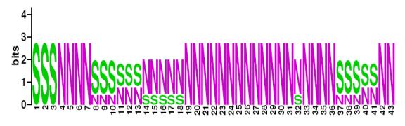 This is a Sequence Logo of Family N37 spoligotypes.
S indicates present spacer, N indicates absent spacer. For more information on sequence logos, 
please click the link at the bottom of this page.