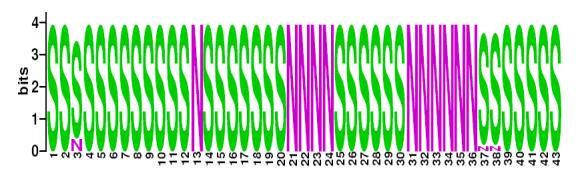 This is a Sequence Logo of Family N38 spoligotypes.
S indicates present spacer, N indicates absent spacer. For more information on sequence logos, 
please click the link at the bottom of this page.