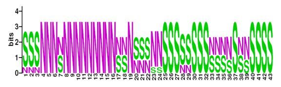 This is a Sequence Logo of Family N40 spoligotypes.
S indicates present spacer, N indicates absent spacer. For more information on sequence logos, 
please click the link at the bottom of this page.