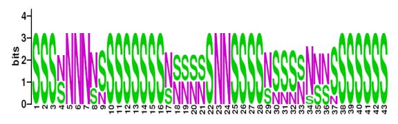 This is a Sequence Logo of Family N42 spoligotypes.
S indicates present spacer, N indicates absent spacer. For more information on sequence logos, 
please click the link at the bottom of this page.