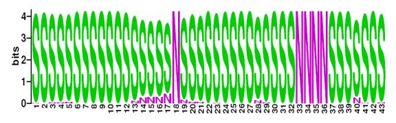 This is a Sequence Logo of Family N44 spoligotypes.
S indicates present spacer, N indicates absent spacer. For more information on sequence logos, 
please click the link at the bottom of this page.