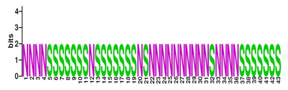 This is a Sequence Logo of Family N46 spoligotypes.
S indicates present spacer, N indicates absent spacer. For more information on sequence logos, 
please click the link at the bottom of this page.