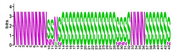 This is a Sequence Logo of Family N9 spoligotypes.
S indicates present spacer, N indicates absent spacer. For more information on sequence logos, 
please click the link at the bottom of this page.